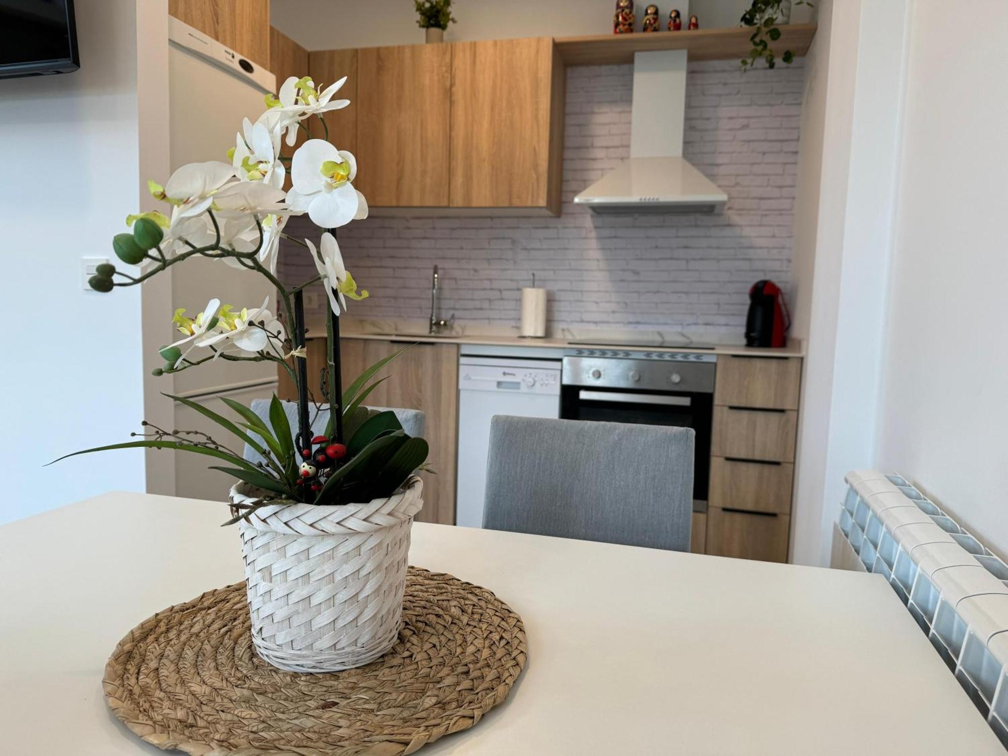 Apartamentos Montejurra Айеги Экстерьер фото