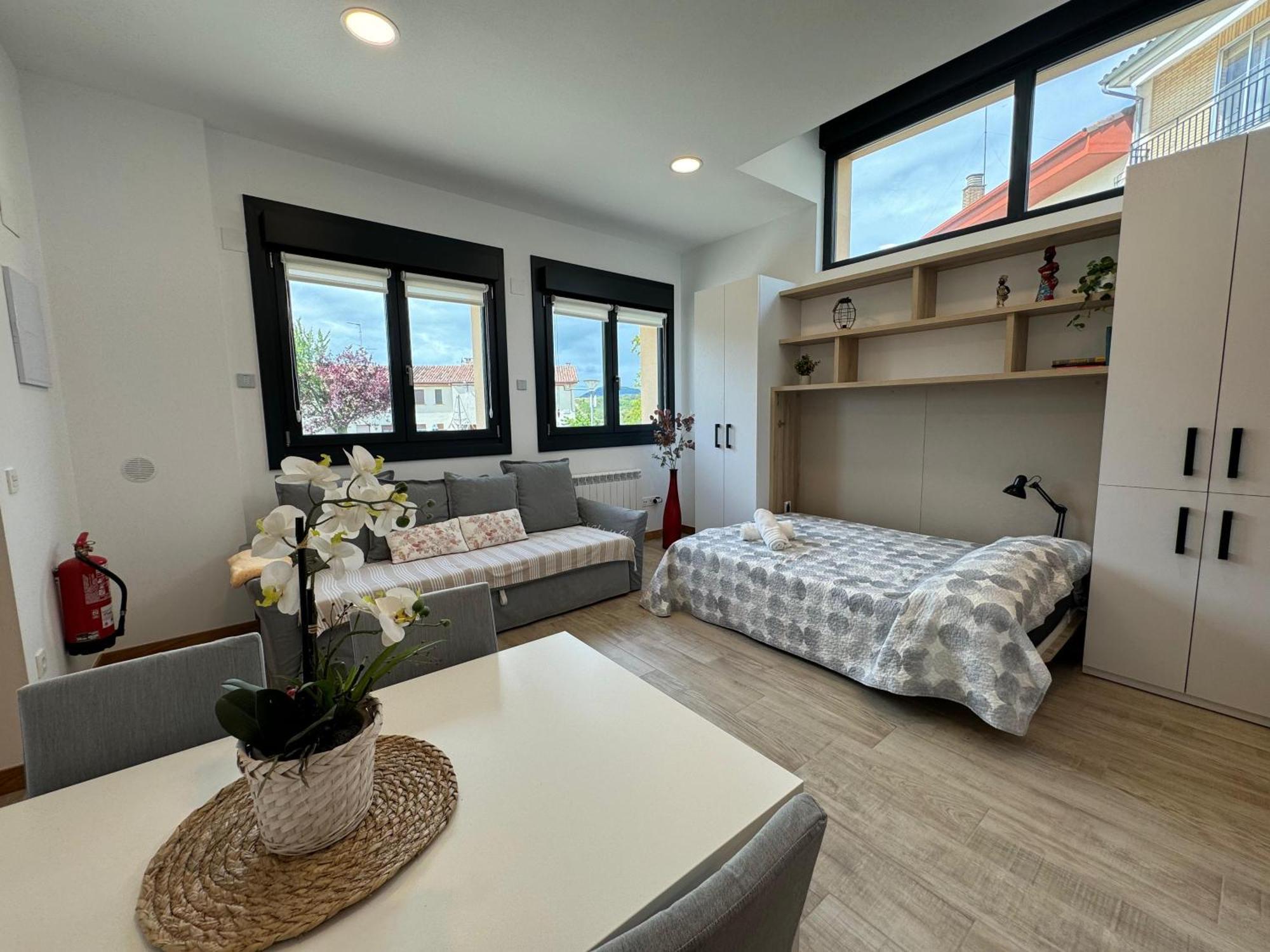 Apartamentos Montejurra Айеги Экстерьер фото
